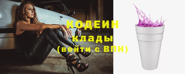 стаф Инта