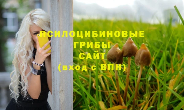 а пвп мука Арсеньев